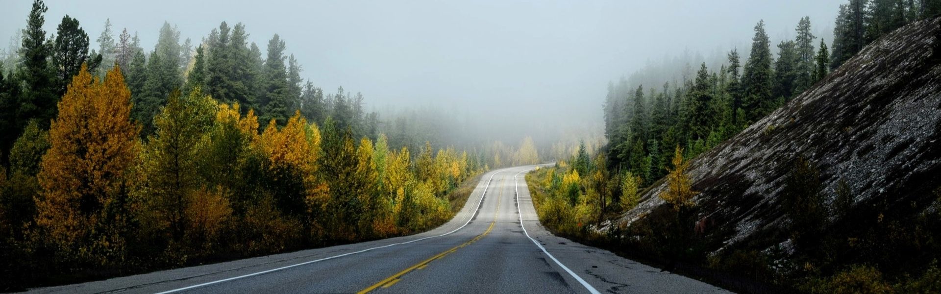 Driving towards the future Photo of road leading to sunshine