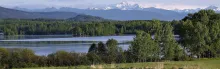 Photo of Smithers