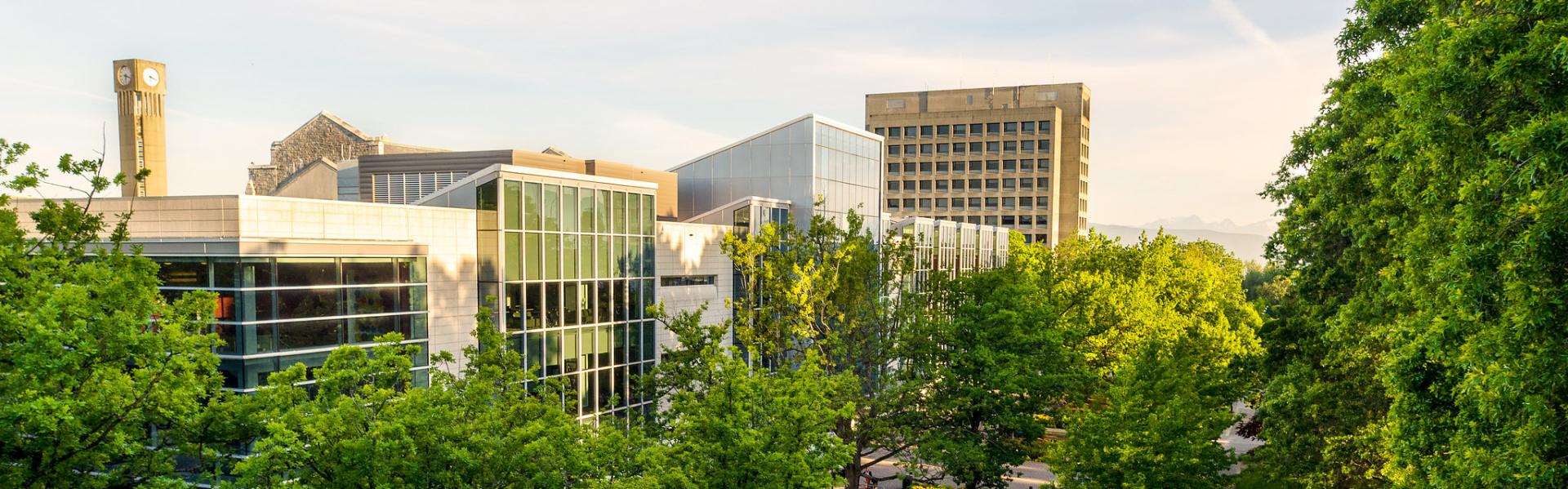 Photo of UBC Vancouver campus in summer